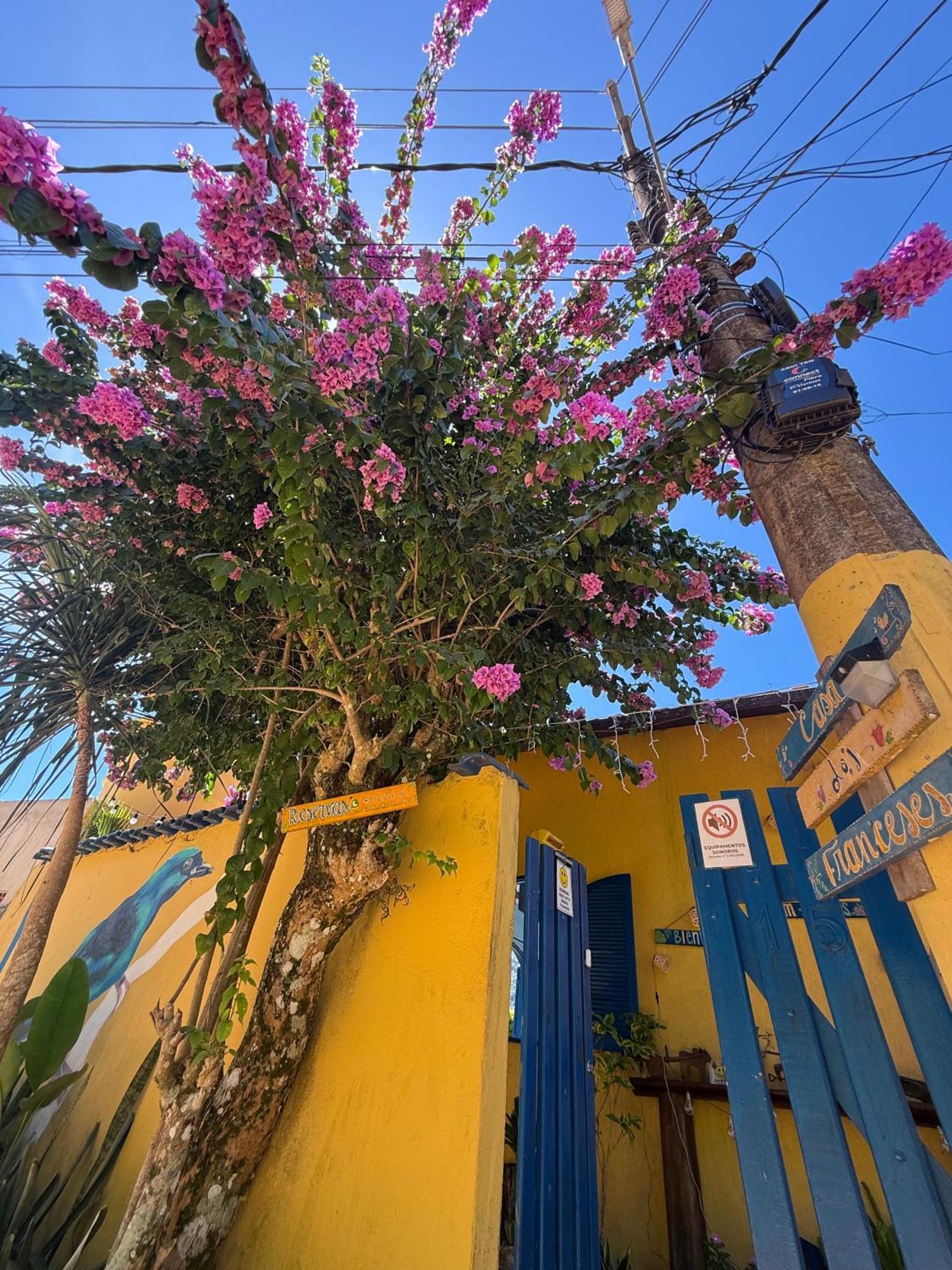 Casa Dos Franceses Ilha Grande Villa Dış mekan fotoğraf